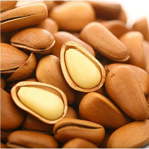 pine nut