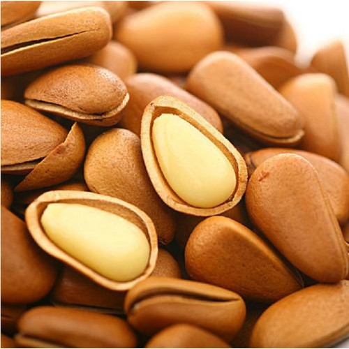 pine nut